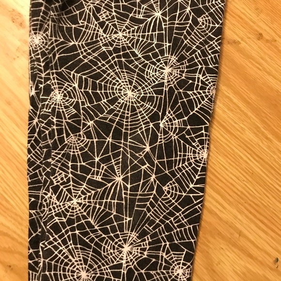 Spider webs - Picture 2 of 3